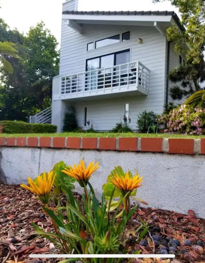 Large Luxury Studio With View In Santa Monica Bagian luar foto